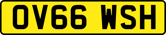 OV66WSH