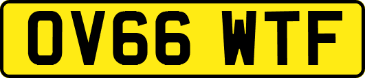 OV66WTF