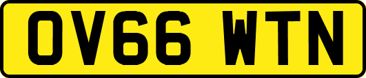 OV66WTN