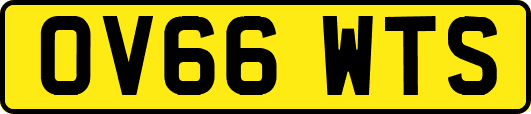 OV66WTS