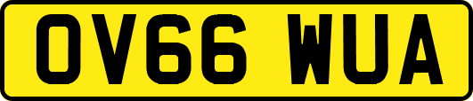 OV66WUA