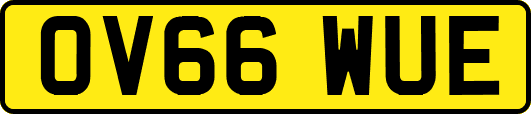 OV66WUE