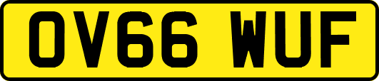 OV66WUF