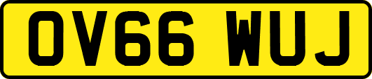 OV66WUJ