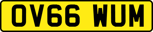 OV66WUM