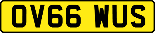 OV66WUS