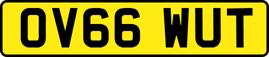 OV66WUT