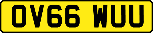OV66WUU