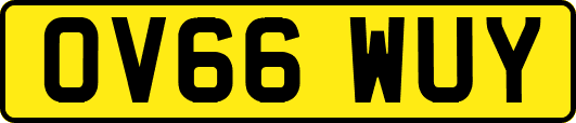 OV66WUY