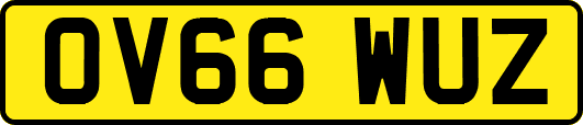 OV66WUZ