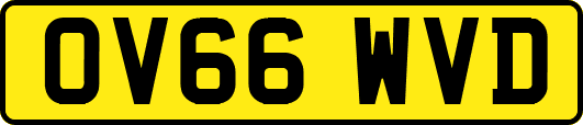 OV66WVD