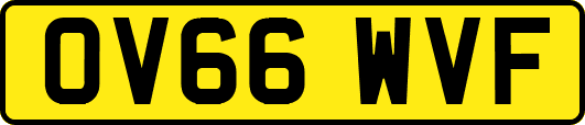 OV66WVF
