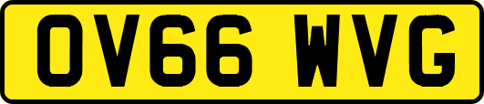 OV66WVG