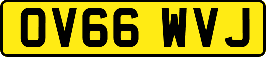 OV66WVJ