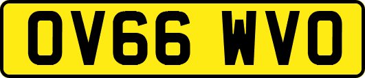 OV66WVO