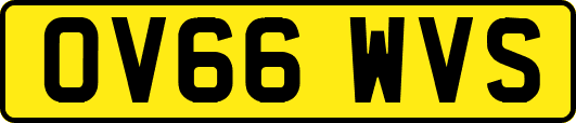 OV66WVS