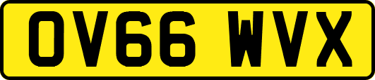 OV66WVX