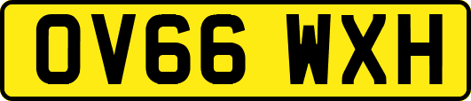 OV66WXH