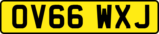 OV66WXJ