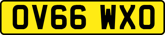 OV66WXO