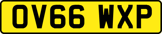 OV66WXP