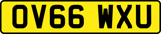 OV66WXU