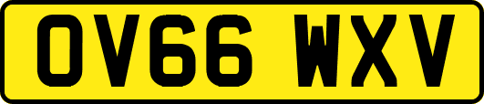 OV66WXV
