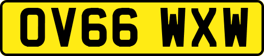 OV66WXW