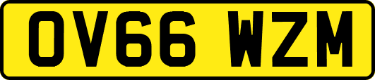 OV66WZM