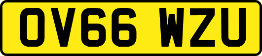 OV66WZU