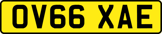 OV66XAE