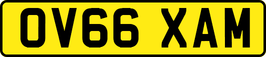 OV66XAM