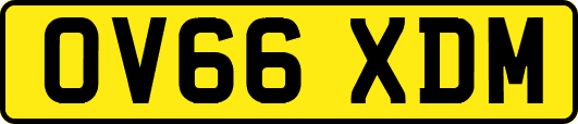 OV66XDM