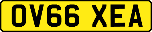 OV66XEA