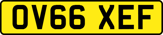 OV66XEF