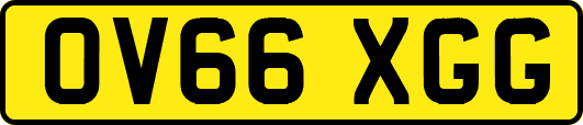 OV66XGG