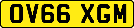 OV66XGM