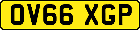 OV66XGP