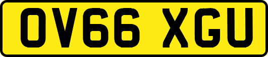OV66XGU