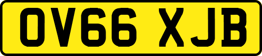 OV66XJB