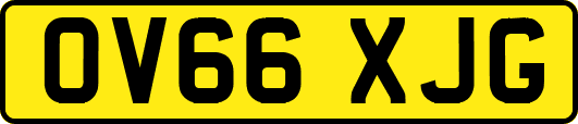 OV66XJG