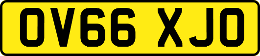 OV66XJO