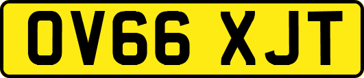 OV66XJT