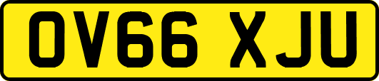 OV66XJU