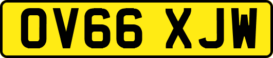 OV66XJW
