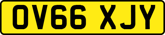 OV66XJY