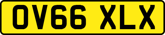 OV66XLX