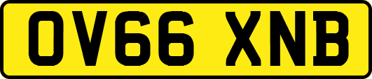 OV66XNB