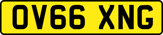 OV66XNG