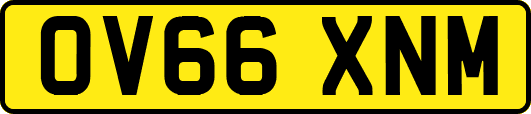 OV66XNM